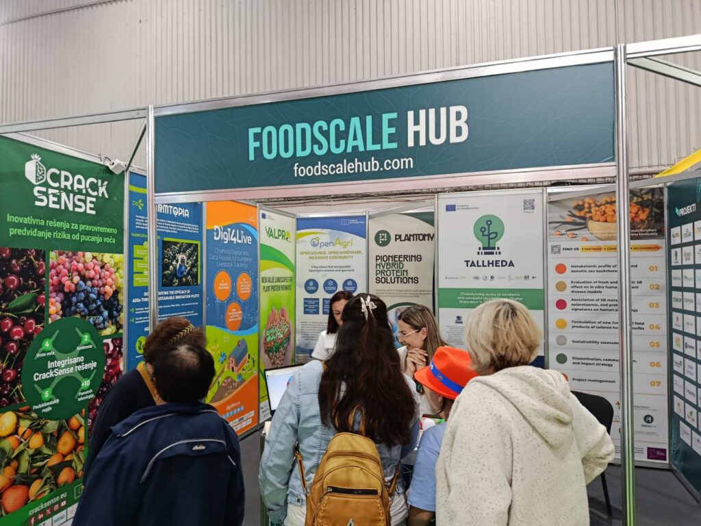 Agricultural Fair