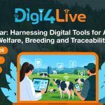 Webinar
